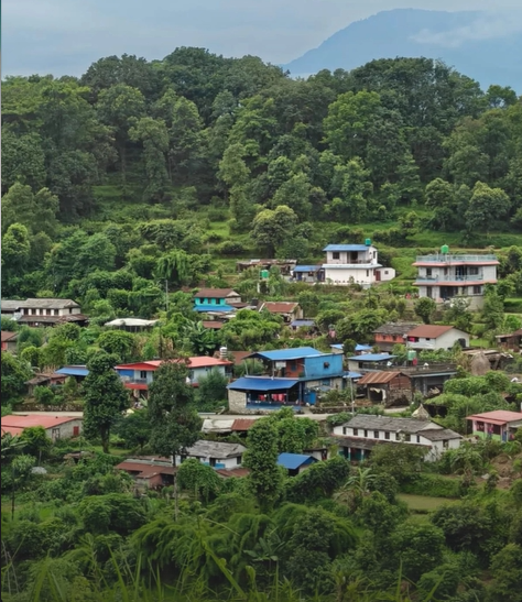 nestled in nature